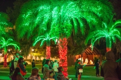 11-18-2020_Christmas Tree Lighting-_ASP4027_edited