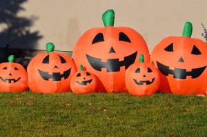 Fall Family Festival @ University Campus