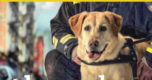 February Guest Presentation from 9/11 Survivor @ Kirk Hall, Rooms 123 and 124