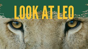“Look at Leo” @ University Campus