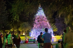 11-18-2020_Christmas Tree Lighting-_ASP4026_edited