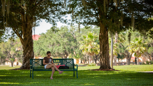 Campus Bench