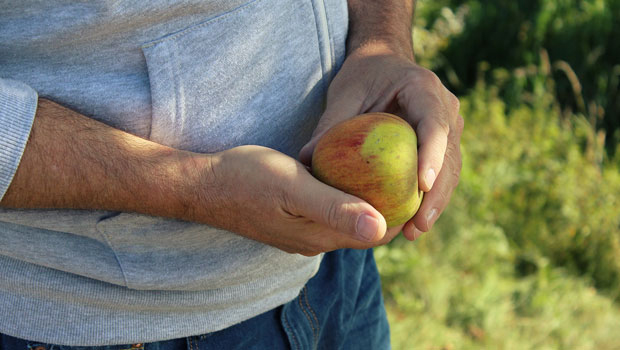 Man with apple