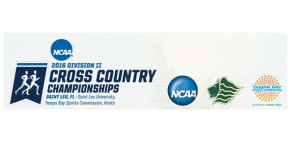 NCAA Cross Country Championship