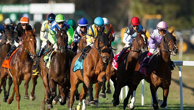 Tampa Bay Downs Events