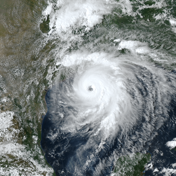 Be ready: Hurricane Preparedness course now available in Workday